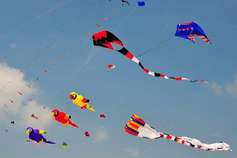 Jaipur: Makar Sankranti Kite Festival with Local Family - The Practical Details