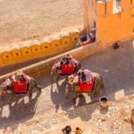 Jaipur: Private Jaipur Full-Day Tour With Guide - The Full Experience: What You Can Expect