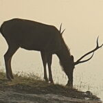 Jaipur Ranthambore Full Day Private Tour - Final Thoughts