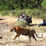Jaipur Ranthambore Same Day Tour (Ask us on Email before booking) - Final Thoughts: Is This Tour Worth It?