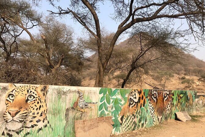 Jaipur to Jhalana Leopard reserve Private Day Trip All Inclusive - The Itinerary: What to Expect and Why It Matters