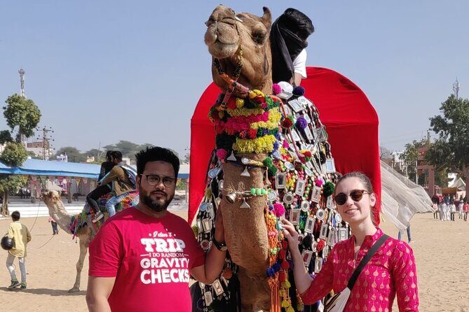 Jaipur Tour By Car & Guide - Private Full Day Sightseeing with Tickets - FAQ