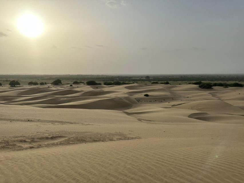 JAISALMER DESERT EXPERIENCE : SLEEPING UNDER THE STAR - FAQ