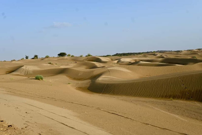 Jaisalmer: Sam Sand Dunes Sunset Tour with Camel Ride - What’s Included and What’s Not