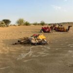 Jaisalmer: Thar Desert Sunset Camel Ride with Dinner & Show - The Value of This Tour