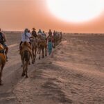 Jaislamer Sightseeing with Sunset Camel & Desert Safari Tour - The Desert Experience