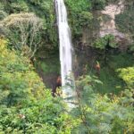 Jakarta Bogor Botanical Garden, Waterfall and Rice terrace, Lunch - What Makes This Tour Stand Out