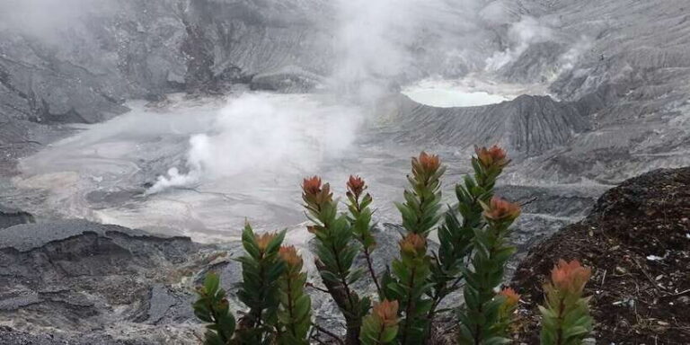 Jakarta: Volcano, Tea/Rice Fields, Hot Spring, Local Food - What We Love Most About This Tour