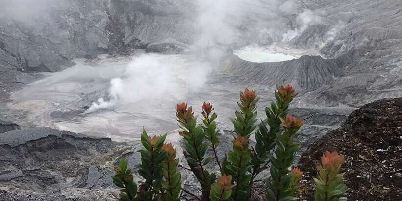 Jakarta: Volcano, Tea/Rice Fields, Hot Spring, Local Food - What We Love Most About This Tour