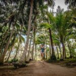 James Bond Island & Canoe & Phang Nga Bay by Speedboat from Phuket - A Deep Dive into the Adventure: What to Expect