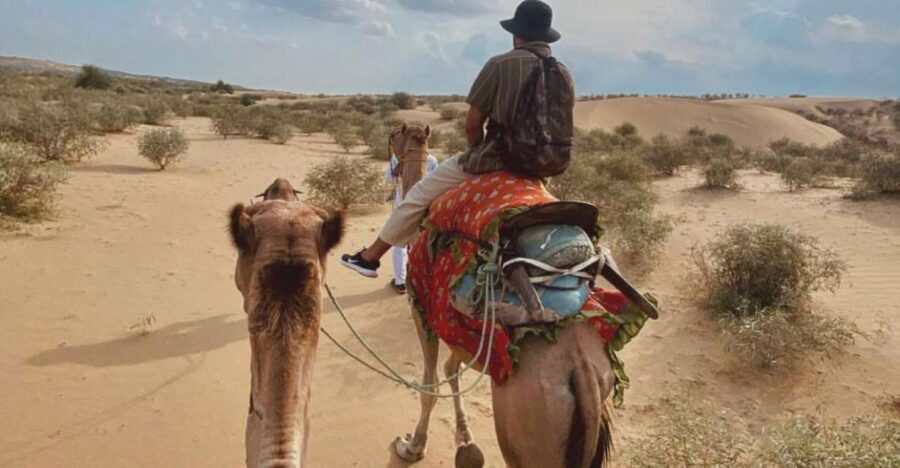 James Desert Experience - Is This Tour Worth the Price?