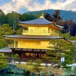 Japan: 8-Day Guided Tour with Accommodation and Transport - What Makes This Tour Stand Out?