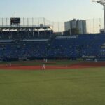 Japan Baseball Tour - Catch a Live Game in Tokyo with a Local - A Closer Look at the Japan Baseball Tour in Tokyo
