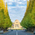 Japanese Garden & Western Architecture: Akasaka exploration tour - Final Thoughts: Is This Tour Worth It?