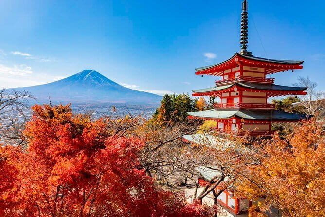 Japan's Best Mount Fuji Tour - What Does This Tour Mean for You?