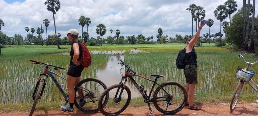 Jason's Countryside Experience - A Deep Dive into Jason’s Countryside Experience