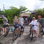 Jatiluwih E-bikes Tour Cycling Group - Why This Tour Works for Travelers