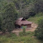 Jeep Adventure - FAQ