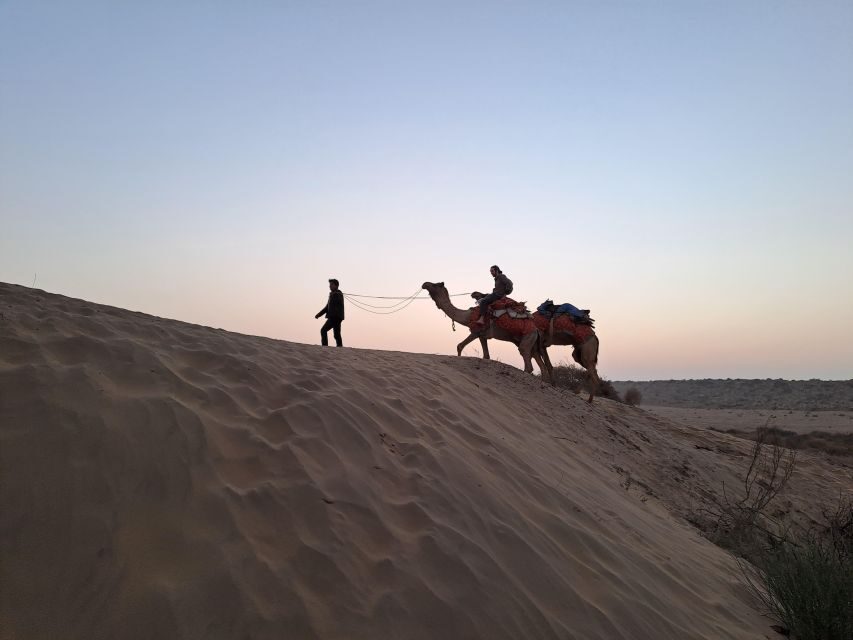 Jeep & Camel Ride, Musical Evening in The Desert Luxury Camp - The Desert Luxury Camp & Evening Entertainment