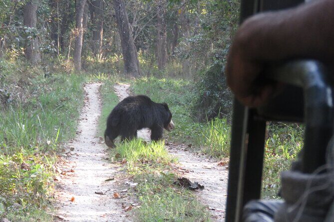 Jeep Safari (8-10 hrs., Private)inside Chitwan National Park. - Frequently Asked Questions