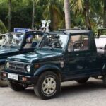 Jeep Safari: A Skip the line access to Devalia Safari Park India - Who Is This Tour Best For?