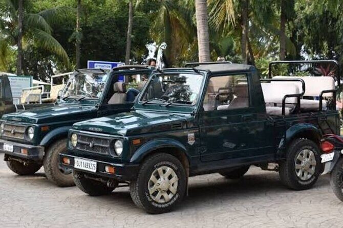 Jeep Safari: A Skip the line access to Devalia Safari Park India - Who Is This Tour Best For?