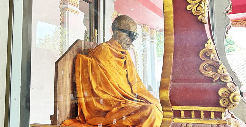 Jeep Tour Koh Samui Jungle Safari Full Day Adventure - Authentic Experiences and Practical Details