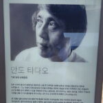 Jeju Art & Culture Tour: Bonte Museum- Tadao Ando, Arte Museum - Osulloc Tea Museum: Serenity and Flavor