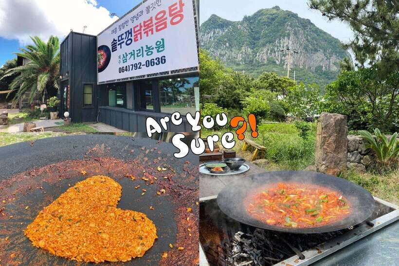 Jeju: BTS Are You Sure?! Filming Locations Private Taxi Tour - Why This Tour Is a Great Choice