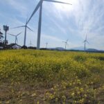 Jeju English Private Taxi Tour(1day, 2days, 3days & 1 to 8pax) - The Sum Up