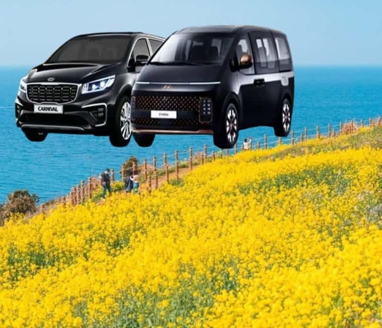 Jeju Island: Private Car Charter Tour - What to Expect From Your Jeju Private Car Tour