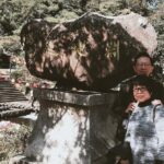 Jeju Island Private Half day Transport : South / West - Authentic Experiences and Traveler Insights