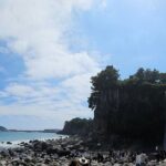 jeju island private taxi tour-West & South of JEJU - Final Thoughts