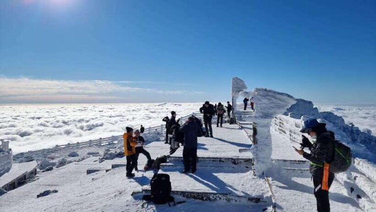 Jeju Island: Private Tour with Driving guide - What Makes This Tour Stand Out?