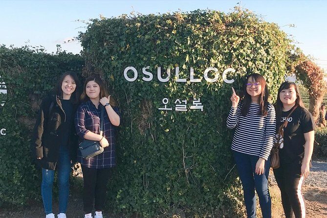 Jeju Island Taxi Tour : South Day Tour - The Experience in Practice