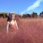 Jeju: Small Group Tour w/Pink Muhly & Tangerine Picking - Who Will Enjoy This Tour?