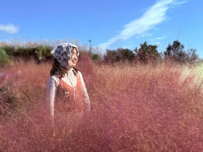 Jeju: Small Group Tour w/Pink Muhly & Tangerine Picking - Who Will Enjoy This Tour?