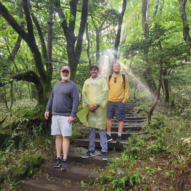 Jeju: Southern Top UNESCO Spots Tour - Who Is This Tour Perfect For?