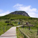 Jeju: UNESCO Day Tour for Cruise Guests - Exploring Jeju: What to Expect from the Tour