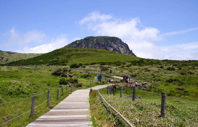 Jeju: UNESCO Day Tour for Cruise Guests - Exploring Jeju: What to Expect from the Tour