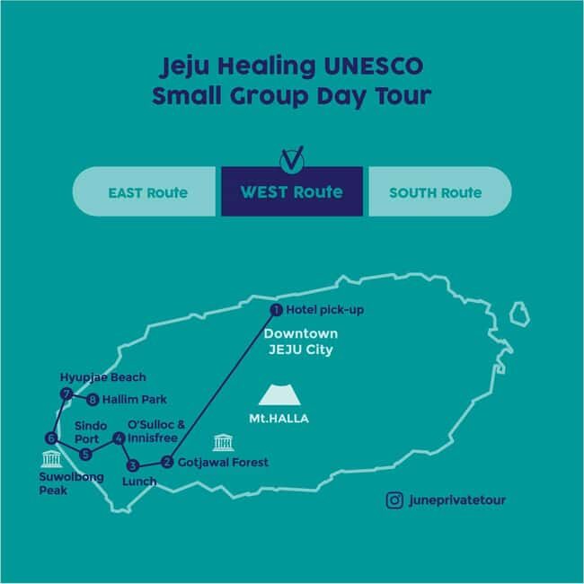 Jeju West: Small Group Healing Tour w/Caves & Dolphins - The Sum Up