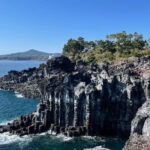 Jeju Western and Southern Routes Sightseeing Day Tour - Why This Tour Works Well