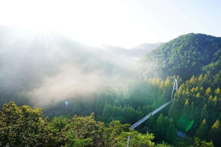 Jeonju Hanok Village Full-Day Tour:Jangtaesan Autumn Foliage - The Journey to Jeonju and Jangtaesan: Setting the Scene