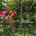 Jewel Changi Airport: Hedge Maze and Canopy Park Ticket - Exploring Jewel Changi Airport’s Hedge Maze and Canopy Park: A Practical Guide