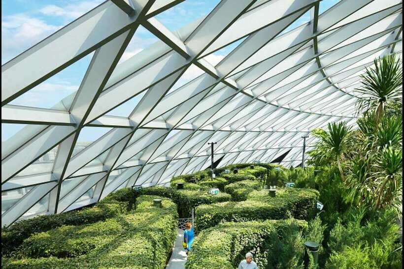 Jewel Changi Airport: Hedge Maze and Canopy Park Ticket - Who Should Consider This Experience?
