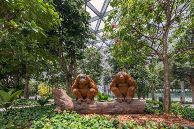 Jewel Changi Airport: Mirror Maze and Canopy Park Ticket - Frequently Asked Questions