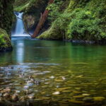 Jim Corbett: 3-Day Safari Tour by Flight from Bangalore - Whats Included and Whats Not