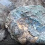 Jinsha&Sanxingdui archaeological site private day tour - The Experience Beyond the Sites