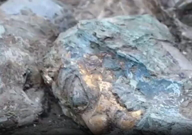 Jinsha&Sanxingdui archaeological site private day tour - The Experience Beyond the Sites