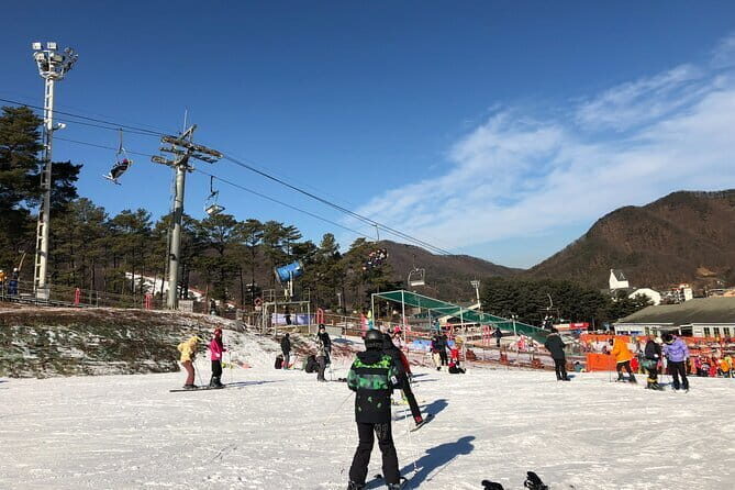 Jisan Forest Ski Resort and Everland 1 Day Tour - A Closer Look at the Day’s Highlights
